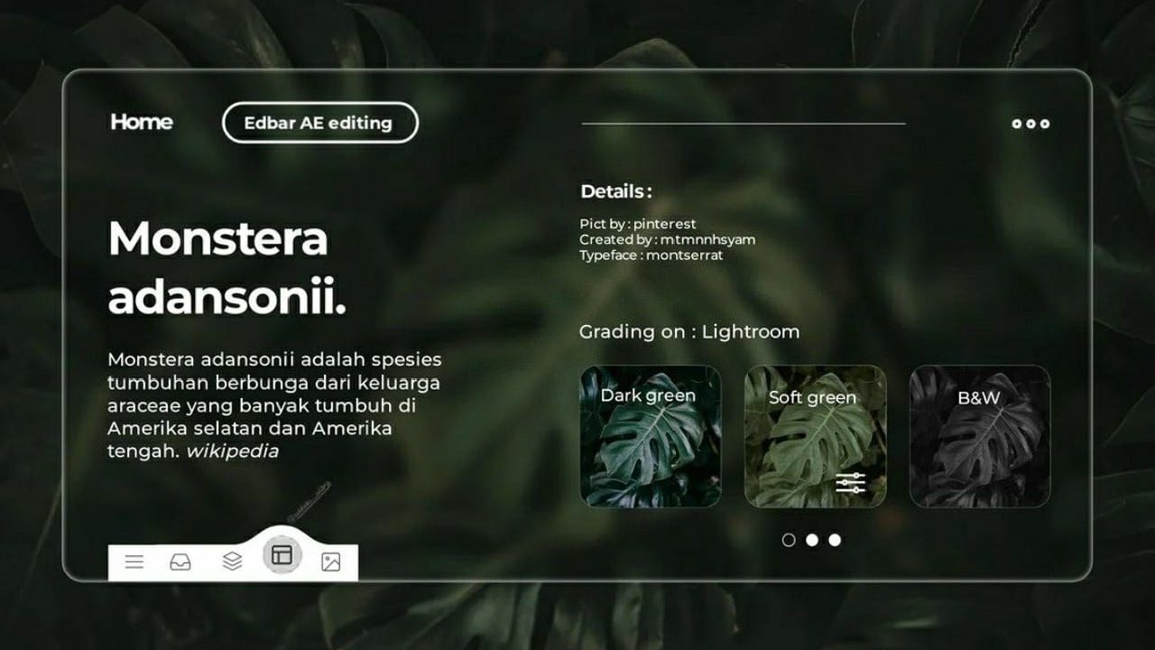 MONSTERA VISUAL INTERFACE